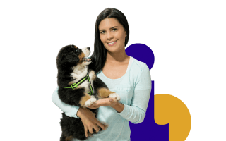 Imagem de Cuidar de animais